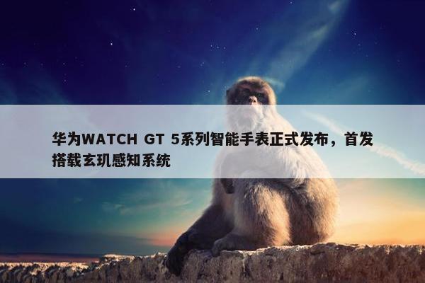 华为WATCH GT 5系列智能手表正式发布，首发搭载玄玑感知系统