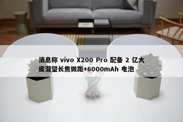 消息称 vivo X200 Pro 配备 2 亿大底潜望长焦微距+6000mAh 电池