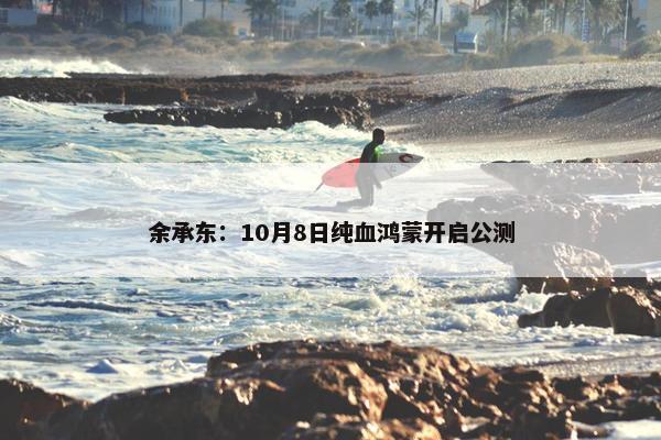 余承东：10月8日纯血鸿蒙开启公测