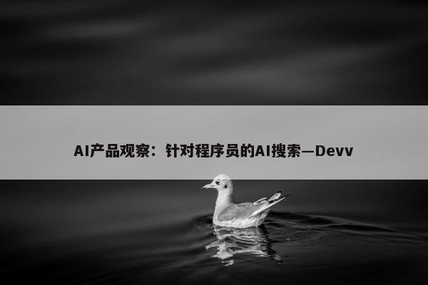 AI产品观察：针对程序员的AI搜索—Devv