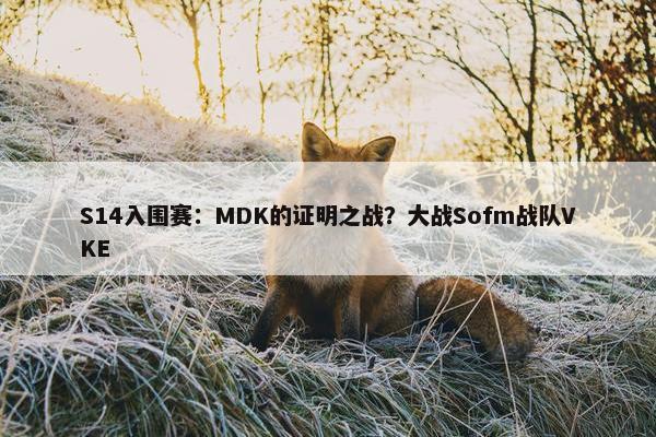 S14入围赛：MDK的证明之战？大战Sofm战队VKE