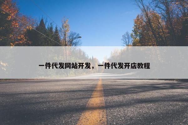 一件代发网站开发，一件代发开店教程