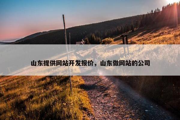 山东提供网站开发报价，山东做网站的公司