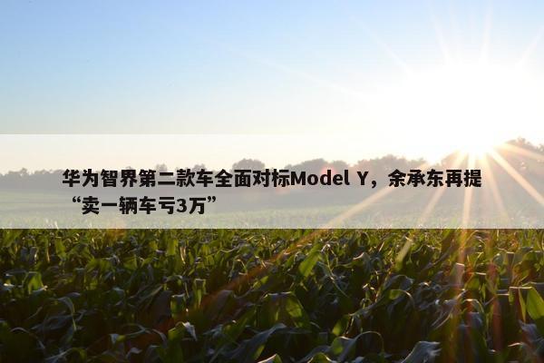 华为智界第二款车全面对标Model Y，余承东再提“卖一辆车亏3万”