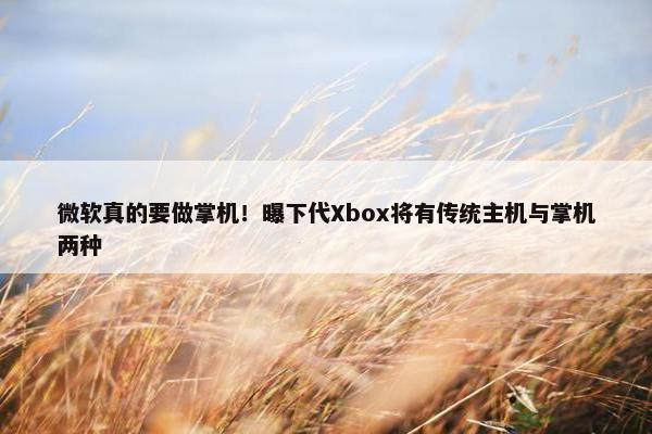 微软真的要做掌机！曝下代Xbox将有传统主机与掌机两种