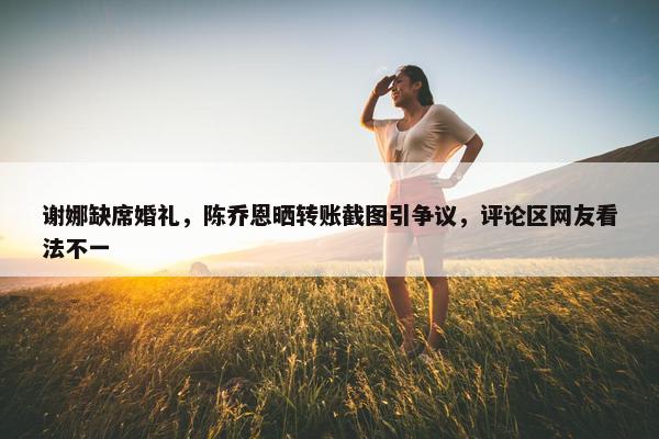 谢娜缺席婚礼，陈乔恩晒转账截图引争议，评论区网友看法不一