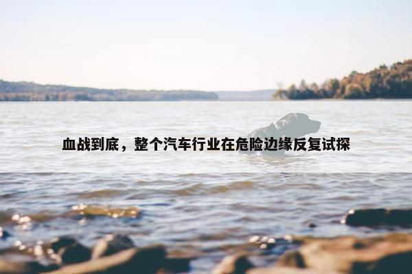 血战到底，整个汽车行业在危险边缘反复试探