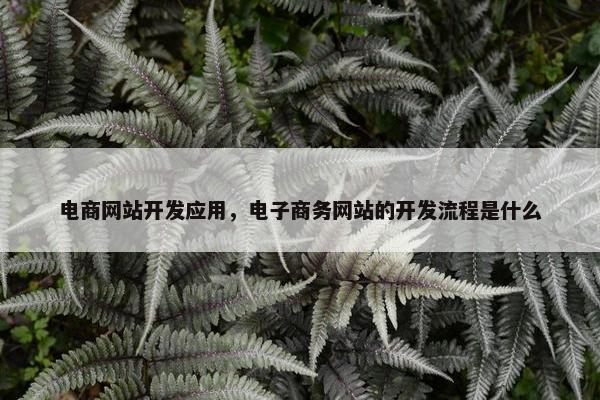 电商网站开发应用，电子商务网站的开发流程是什么