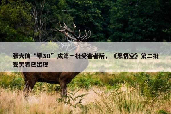 张大仙“晕3D”成第一批受害者后，《黑悟空》第二批受害者已出现