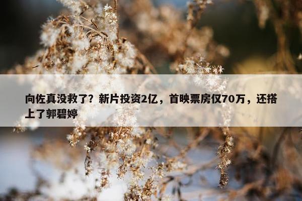 向佐真没救了？新片投资2亿，首映票房仅70万，还搭上了郭碧婷