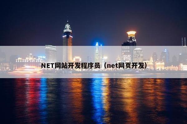 NET网站开发程序员（net网页开发）