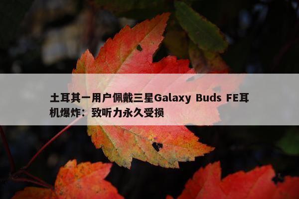 土耳其一用户佩戴三星Galaxy Buds FE耳机爆炸：致听力永久受损