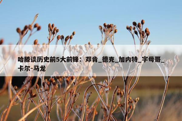 哈滕谈历史前5大前锋：邓肯_德克_加内特_字母哥_卡尔-马龙