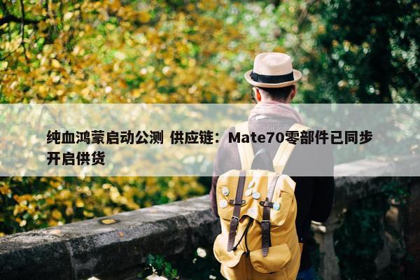 纯血鸿蒙启动公测 供应链：Mate70零部件已同步开启供货