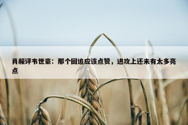 肖赧评韦世豪：那个回追应该点赞，进攻上还未有太多亮点