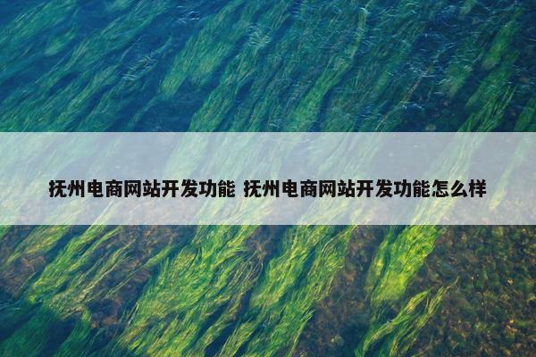 抚州电商网站开发功能 抚州电商网站开发功能怎么样