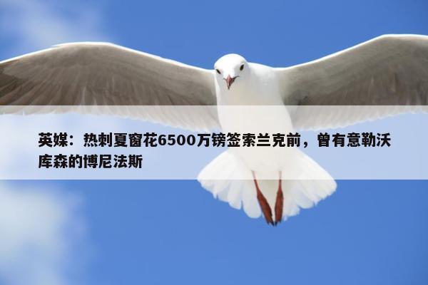 英媒：热刺夏窗花6500万镑签索兰克前，曾有意勒沃库森的博尼法斯