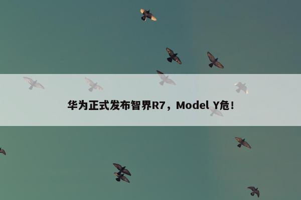 华为正式发布智界R7，Model Y危！