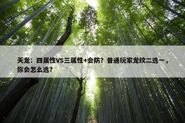 天龙：四属性VS三属性+会防？普通玩家龙纹二选一，你会怎么选？