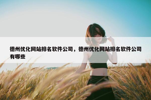 德州优化网站排名软件公司，德州优化网站排名软件公司有哪些