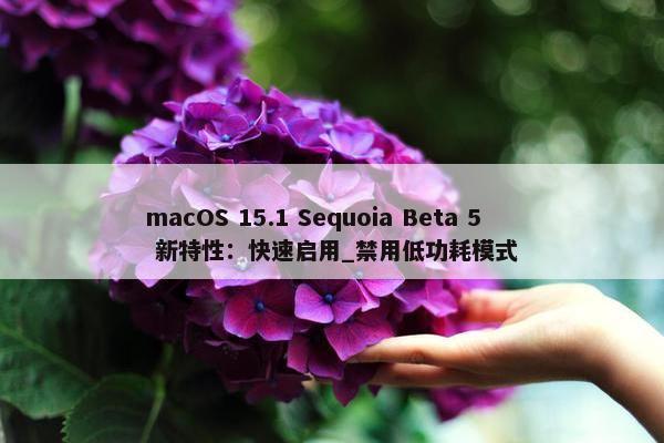 macOS 15.1 Sequoia Beta 5 新特性：快速启用_禁用低功耗模式