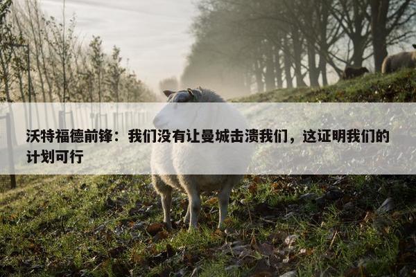 沃特福德前锋：我们没有让曼城击溃我们，这证明我们的计划可行