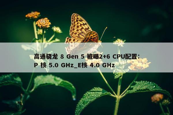 高通骁龙 8 Gen 5 被曝2+6 CPU配置：P 核 5.0 GHz_E核 4.0 GHz