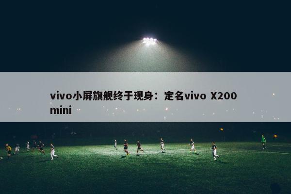 vivo小屏旗舰终于现身：定名vivo X200 mini