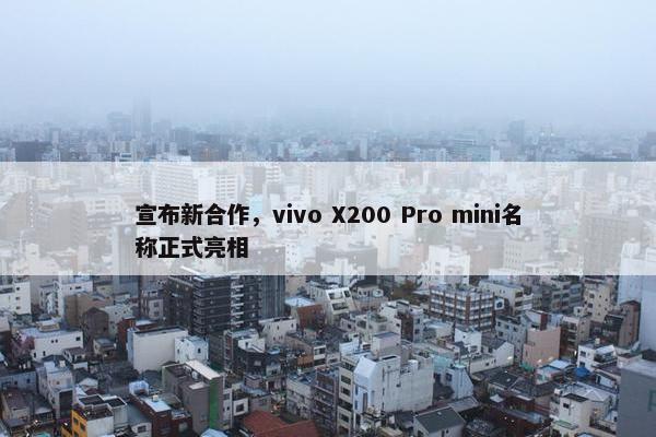 宣布新合作，vivo X200 Pro mini名称正式亮相