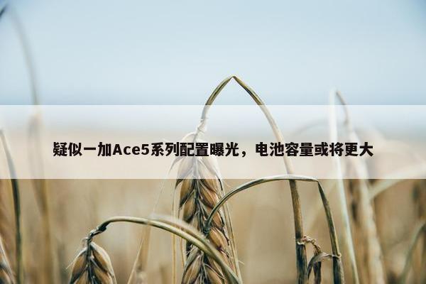 疑似一加Ace5系列配置曝光，电池容量或将更大