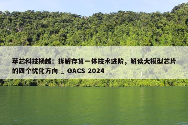 苹芯科技杨越：拆解存算一体技术进阶，解读大模型芯片的四个优化方向 _ GACS 2024