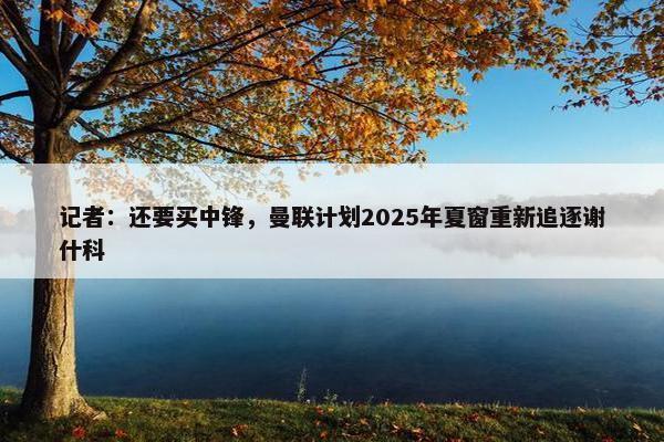 记者：还要买中锋，曼联计划2025年夏窗重新追逐谢什科