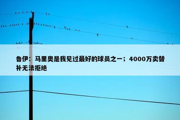 鲁伊：马里奥是我见过最好的球员之一；4000万卖替补无法拒绝