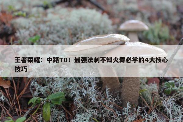 王者荣耀：中路T0！最强法刺不知火舞必学的4大核心技巧