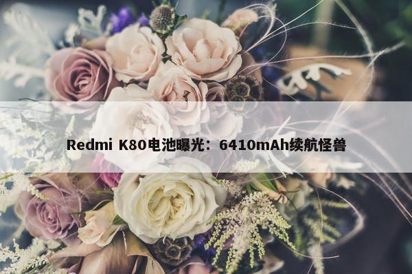 Redmi K80电池曝光：6410mAh续航怪兽