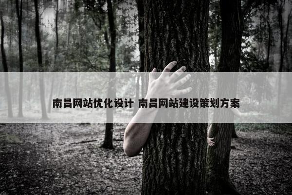 南昌网站优化设计 南昌网站建设策划方案