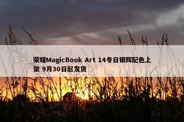 荣耀MagicBook Art 14冬日银辉配色上架 9月30日起发货