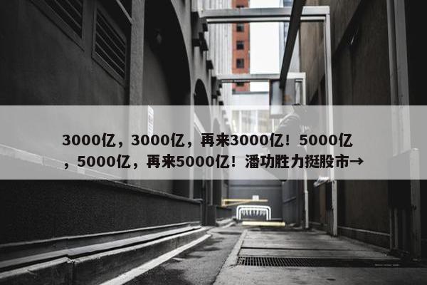 3000亿，3000亿，再来3000亿！5000亿，5000亿，再来5000亿！潘功胜力挺股市→