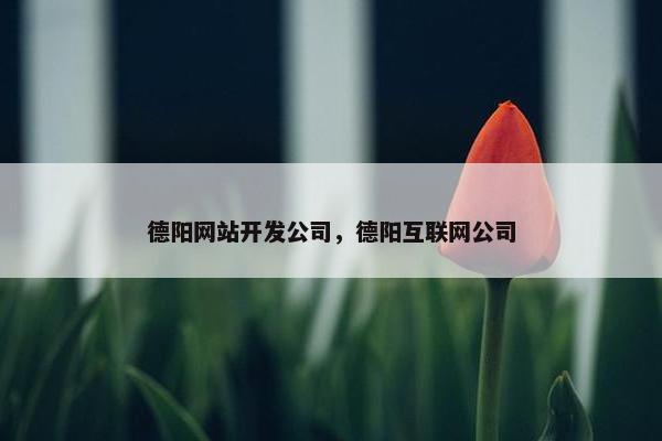 德阳网站开发公司，德阳互联网公司