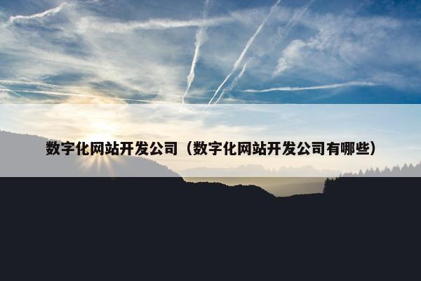 数字化网站开发公司（数字化网站开发公司有哪些）