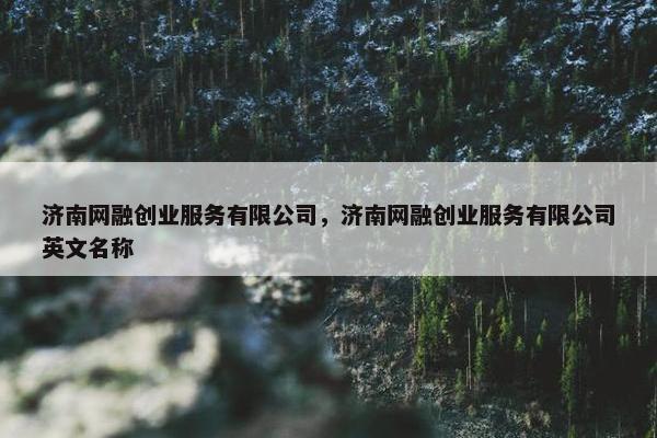 济南网融创业服务有限公司，济南网融创业服务有限公司英文名称