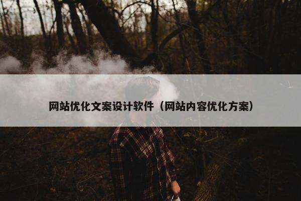 网站优化文案设计软件（网站内容优化方案）