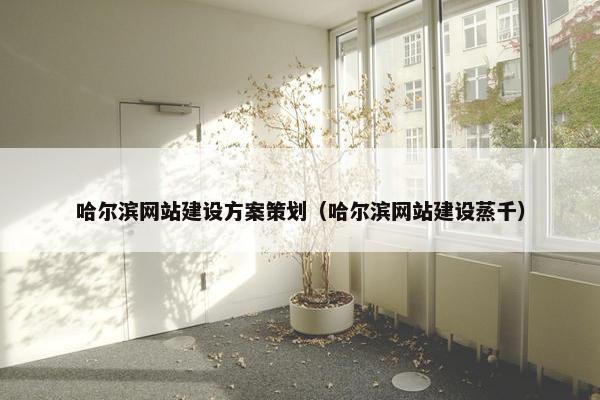 哈尔滨网站建设方案策划（哈尔滨网站建设蒸千）