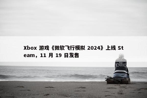 Xbox 游戏《微软飞行模拟 2024》上线 Steam，11 月 19 日发售