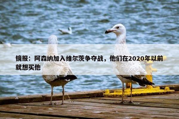 镜报：阿森纳加入维尔茨争夺战，他们在2020年以前就想买他