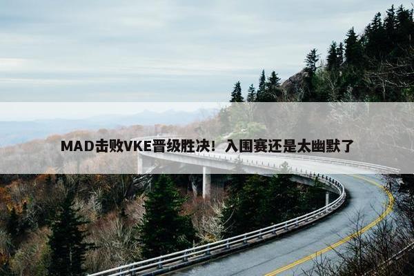 MAD击败VKE晋级胜决！入围赛还是太幽默了