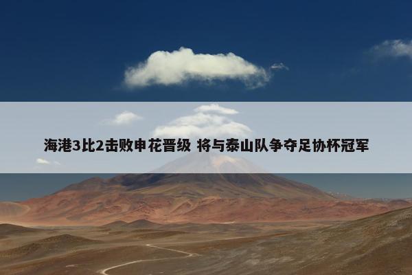 海港3比2击败申花晋级 将与泰山队争夺足协杯冠军