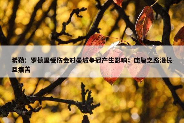 希勒：罗德里受伤会对曼城争冠产生影响；康复之路漫长且痛苦