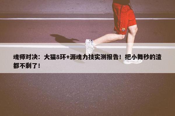 魂师对决：大猫8环+源魂力技实测报告！把小舞秒的渣都不剩了！