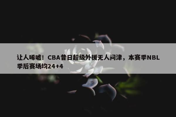 让人唏嘘！CBA昔日超级外援无人问津，本赛季NBL季后赛场均24+4